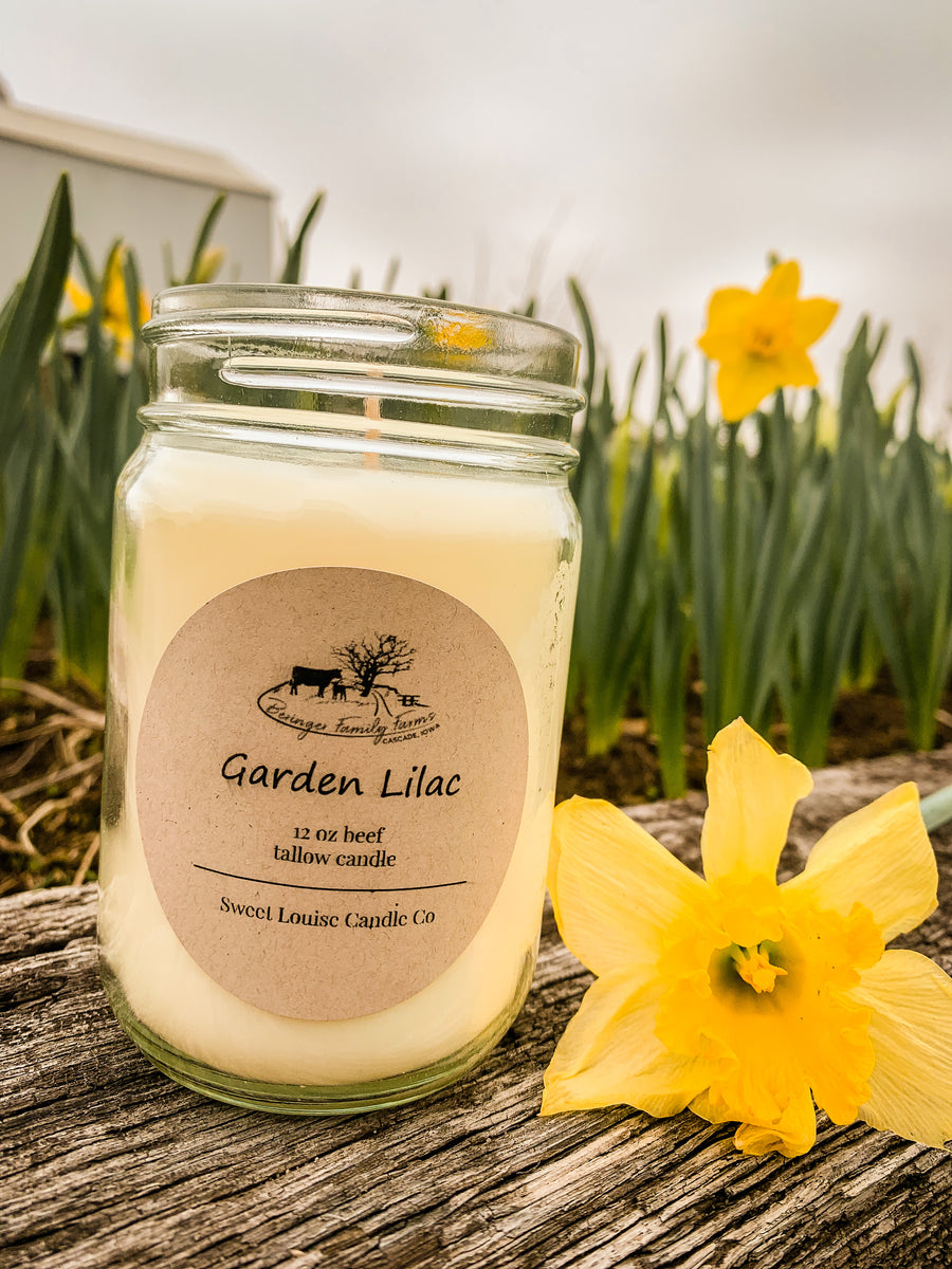 Beef Tallow Candle Garden Lilac Beringer Family Farms