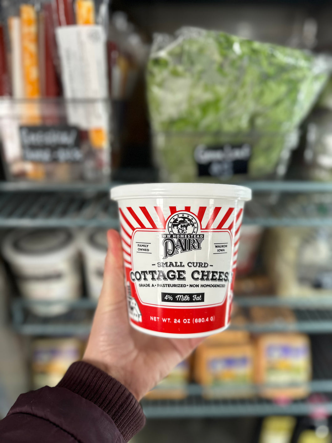 Cottage Cheese